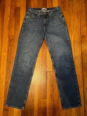 Tommy Hilfiger Men's Straight Jeans in Medium Blue